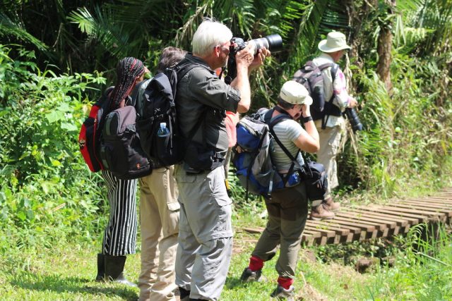 Bird watching tour uganda