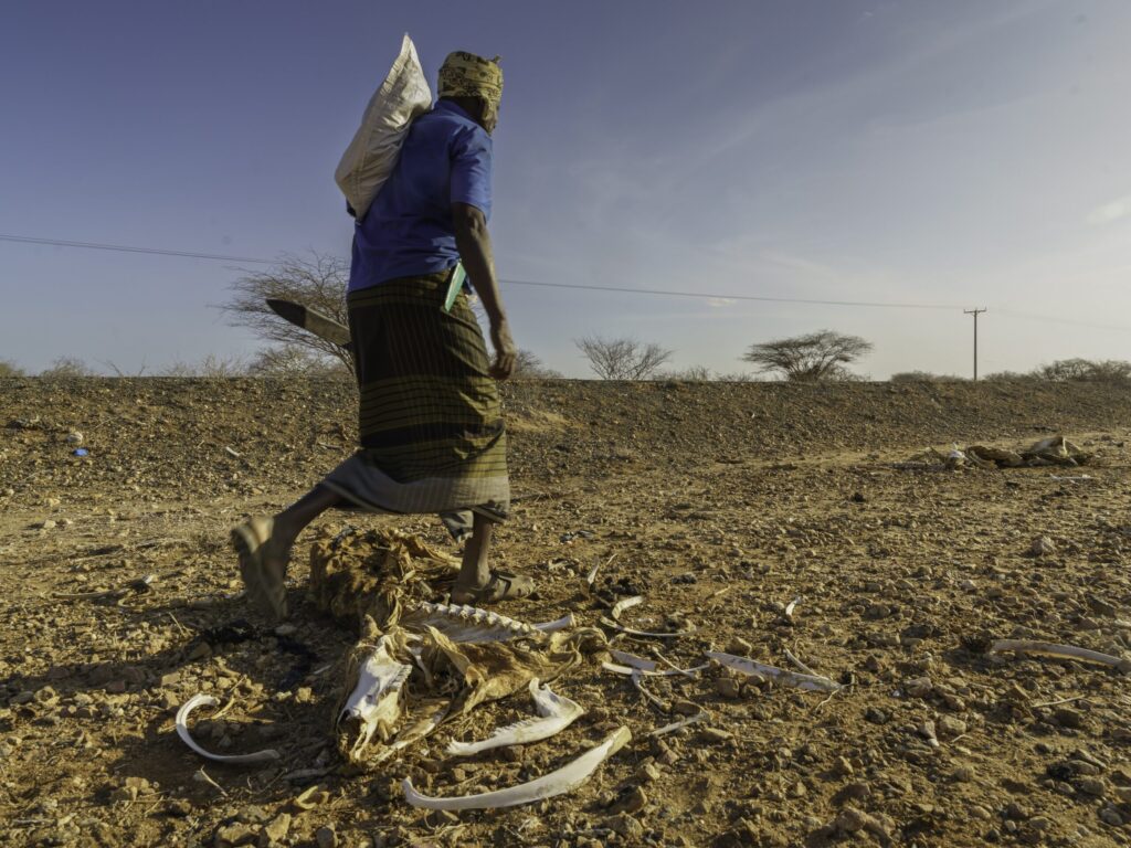 Dry cultivation land due to climate change