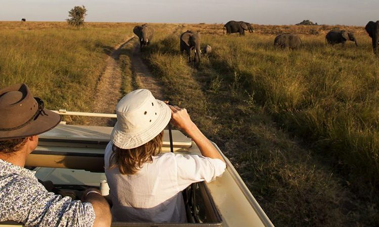 couple on a game drive - Uganda