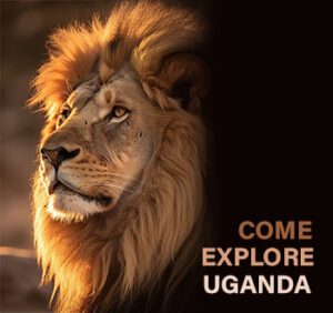 Explore Uganda