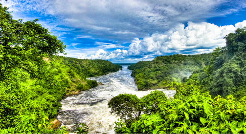 Part of Murchison Falls national park greenery