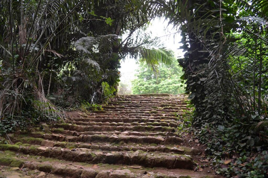 Entebbe-botanical-Gardens