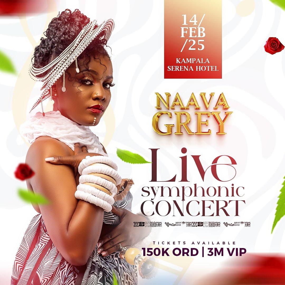 Naava grey concert