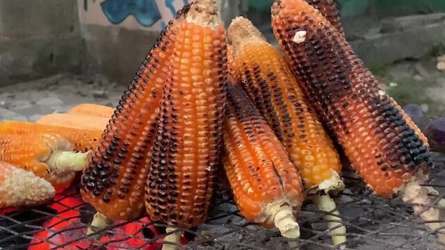 Roasted Maize: