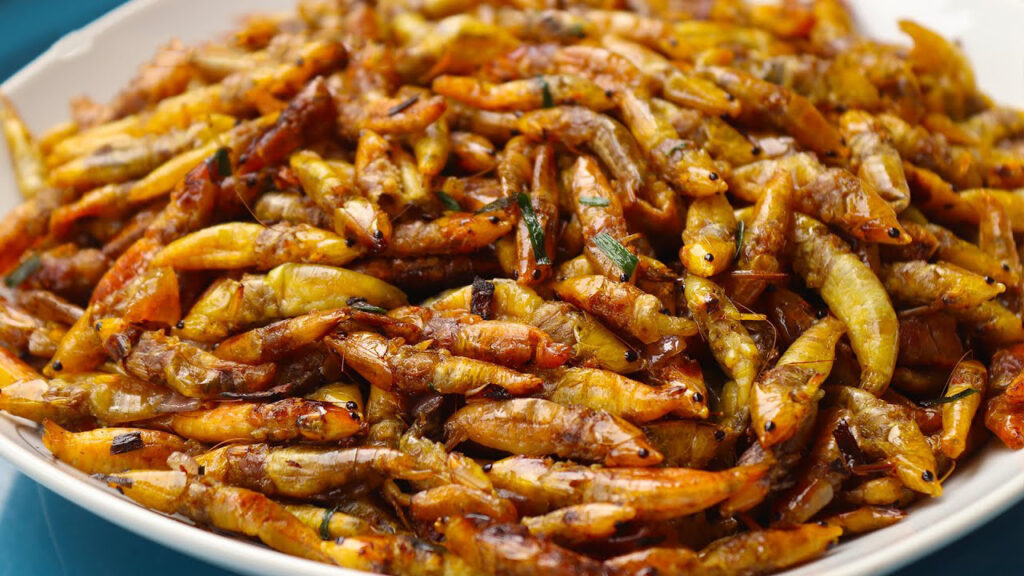 Fried grasshopers