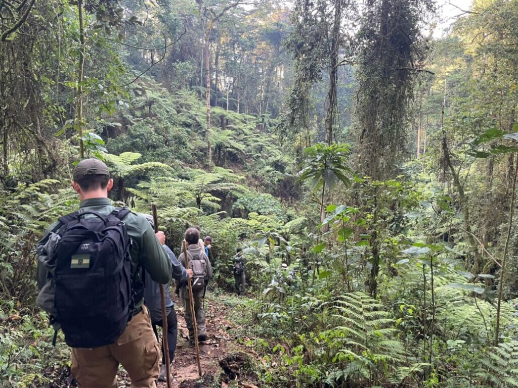 Bwindi Gorilla trail