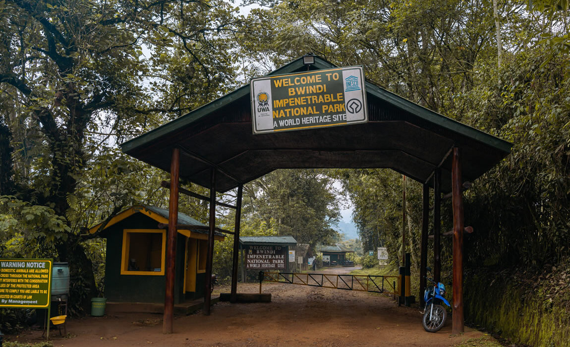 bwindi-national-park