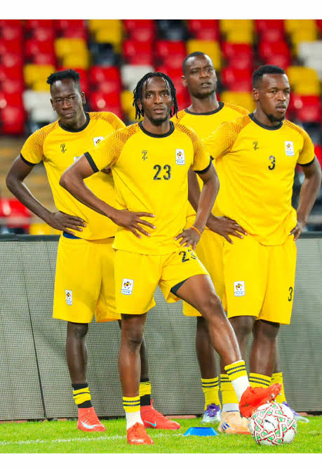 Uganda cranes