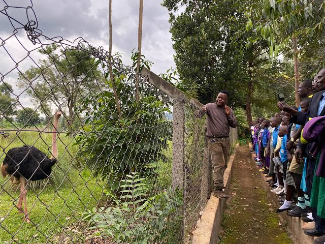 Mbale Zoo